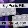 Big Penis Pills 17